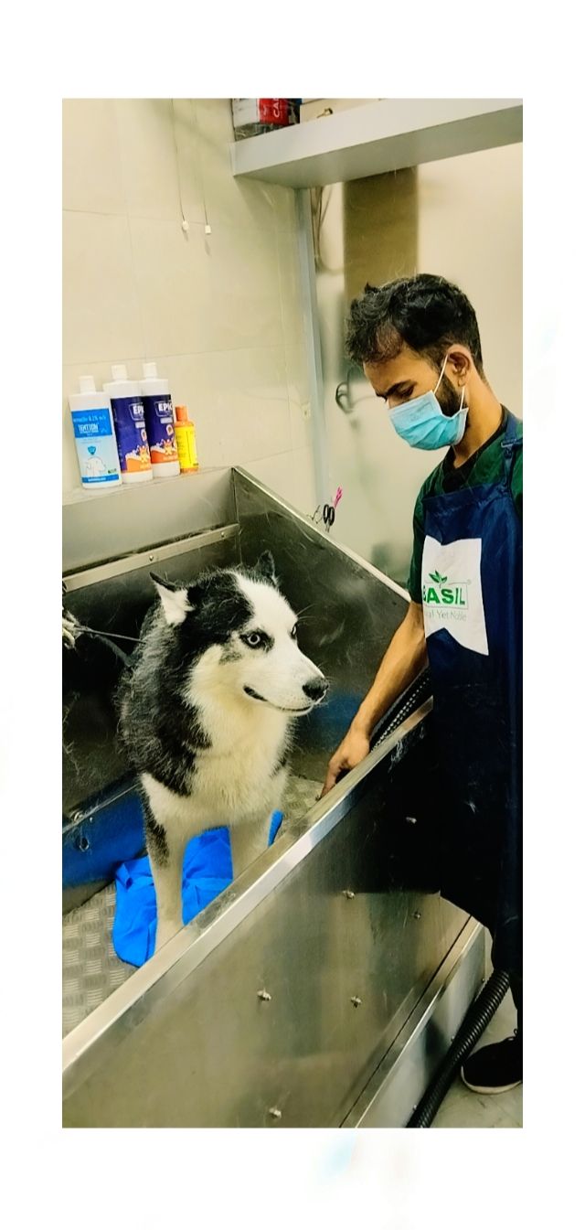 Pet Care